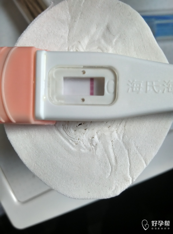 有没有用海氏海诺的?
