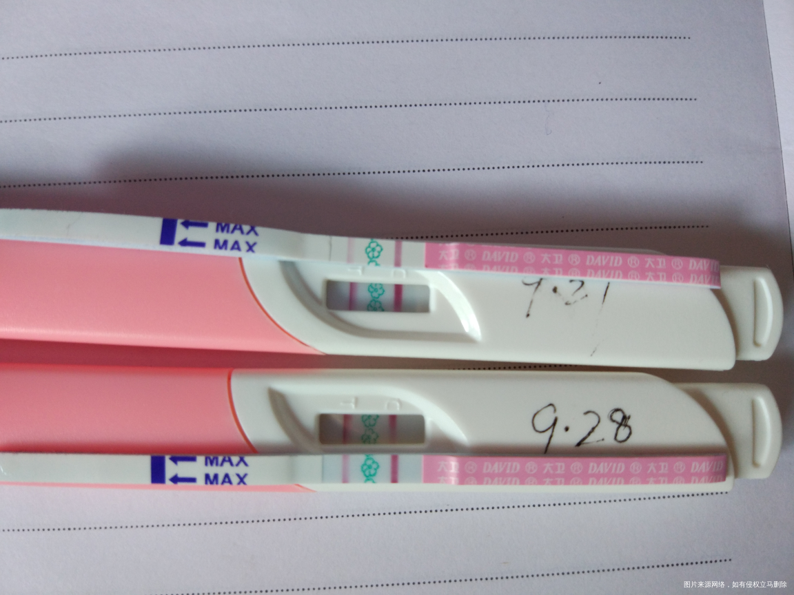 【9.28】一时兴起,试纸小实验(实验次数太少,仅供娱乐)