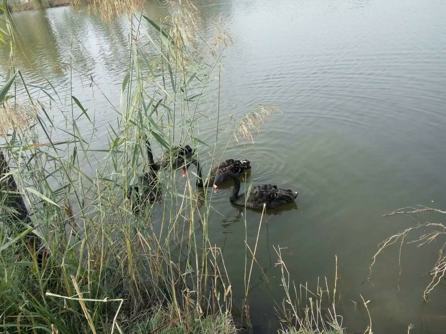 【备孕解压】焦虑丢掉,狂躁丢掉,不好的都丢掉