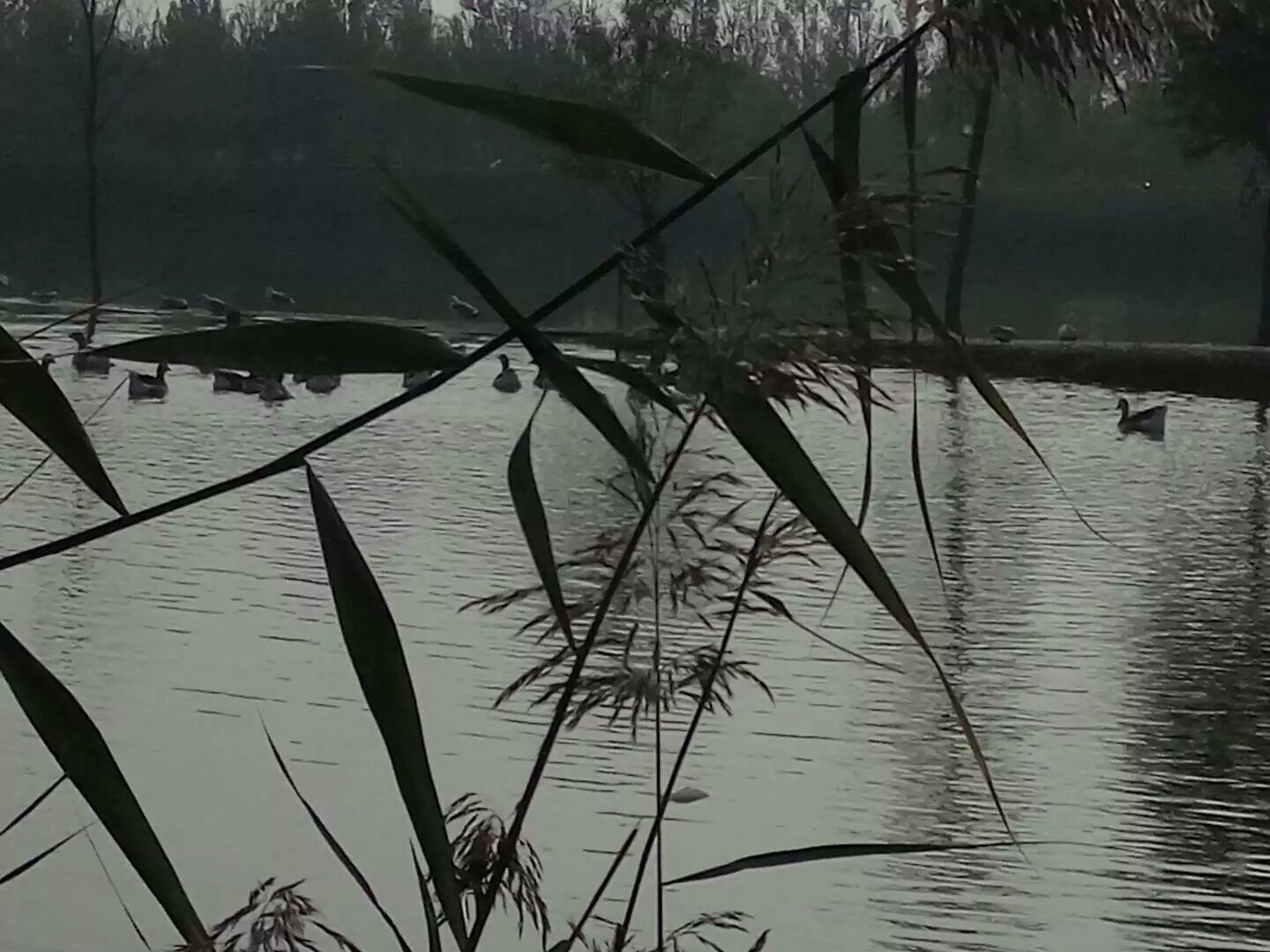 【备孕解压】焦虑丢掉,狂躁丢掉,不好的都丢掉