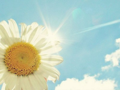 【备孕感悟】岁月静好,浅笑安然。