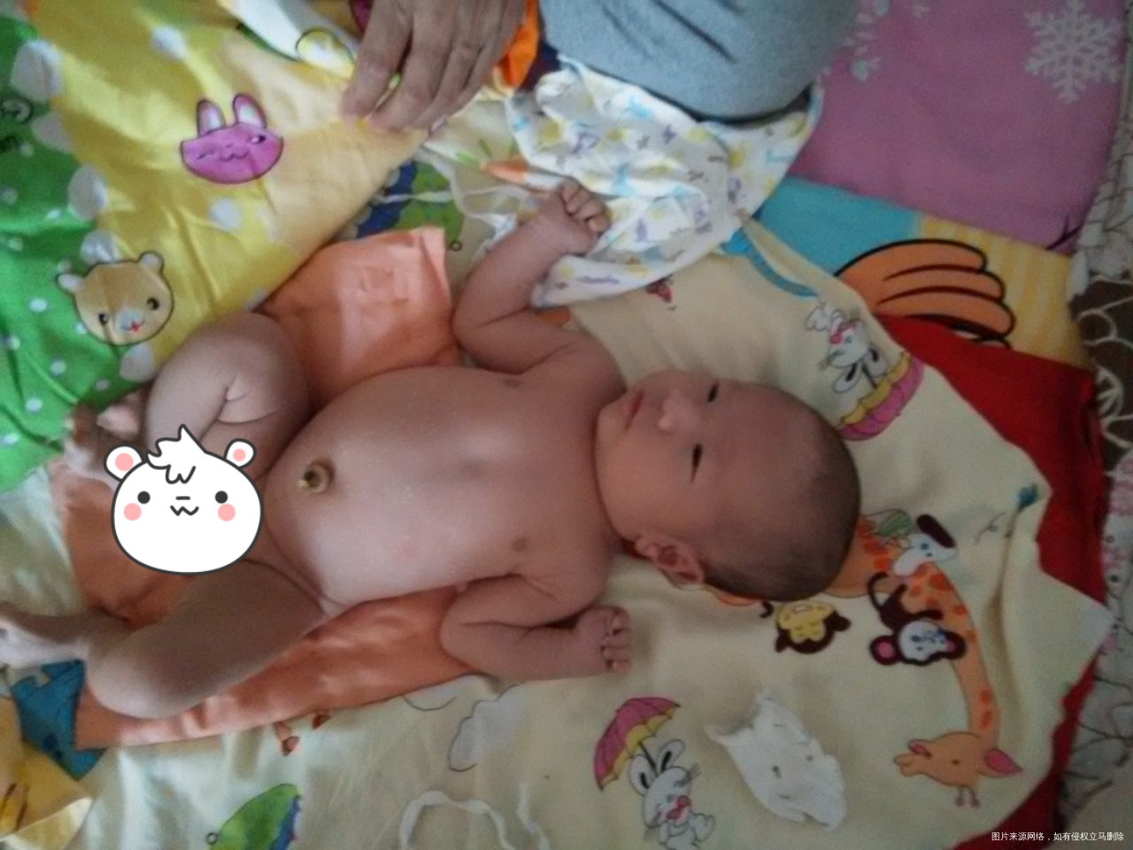 分享一下我的孕期症状,男宝