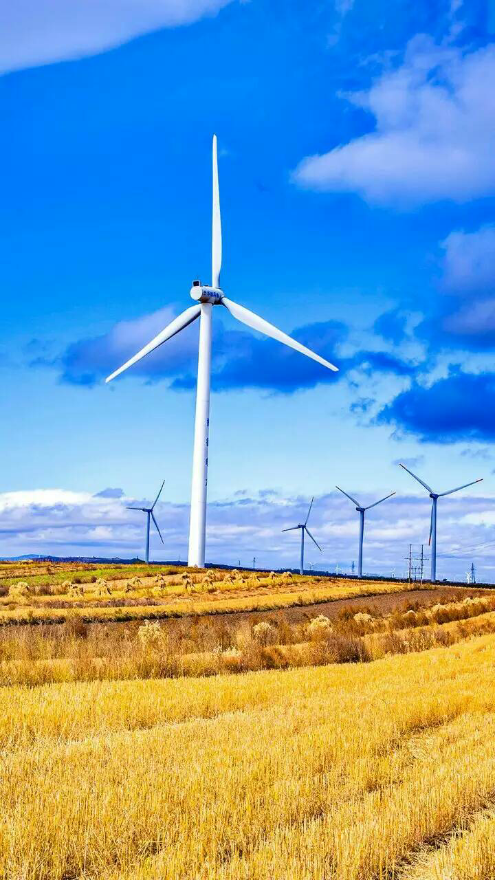 【11 月备孕】希望宝宝能听到我的心声