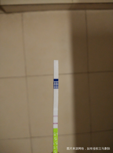 帮我看下plsz以哪个为准