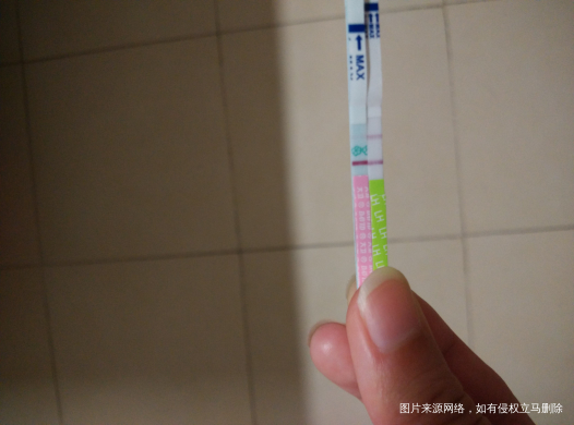 帮我看下plsz以哪个为准