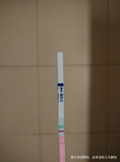 帮我看下plsz以哪个为准