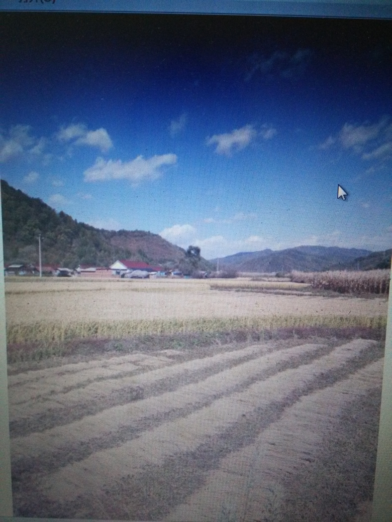 备孕两个月顺利怀上猴宝宝,分享一下好孕经验