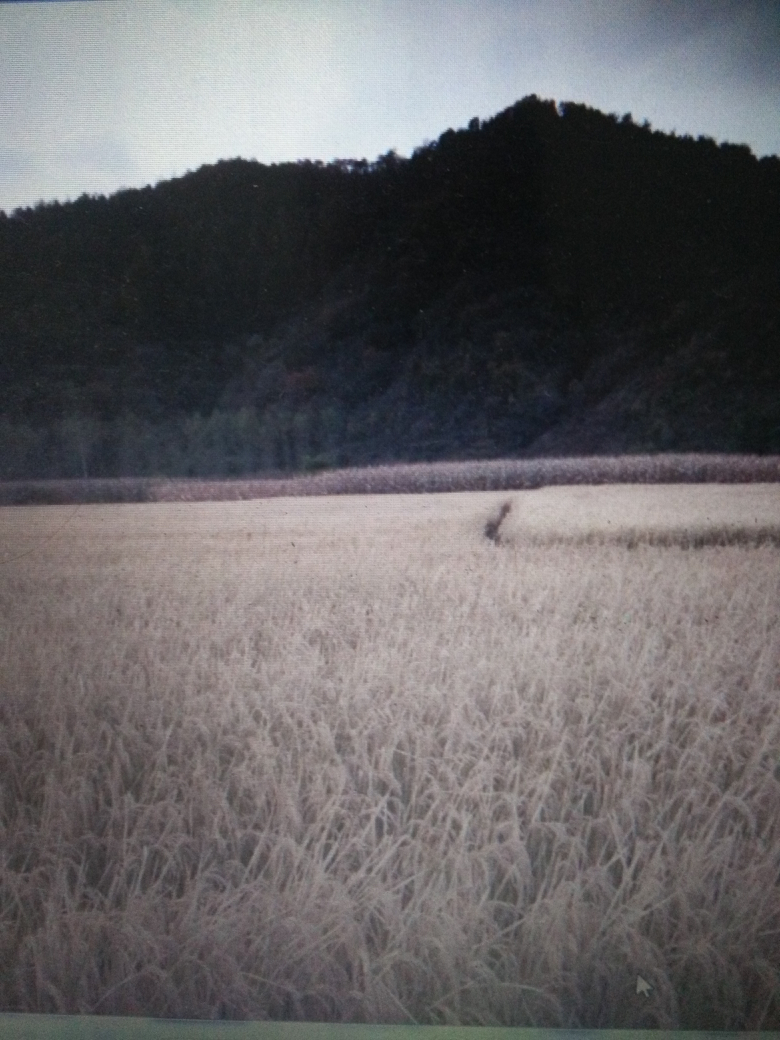 备孕两个月顺利怀上猴宝宝,分享一下好孕经验