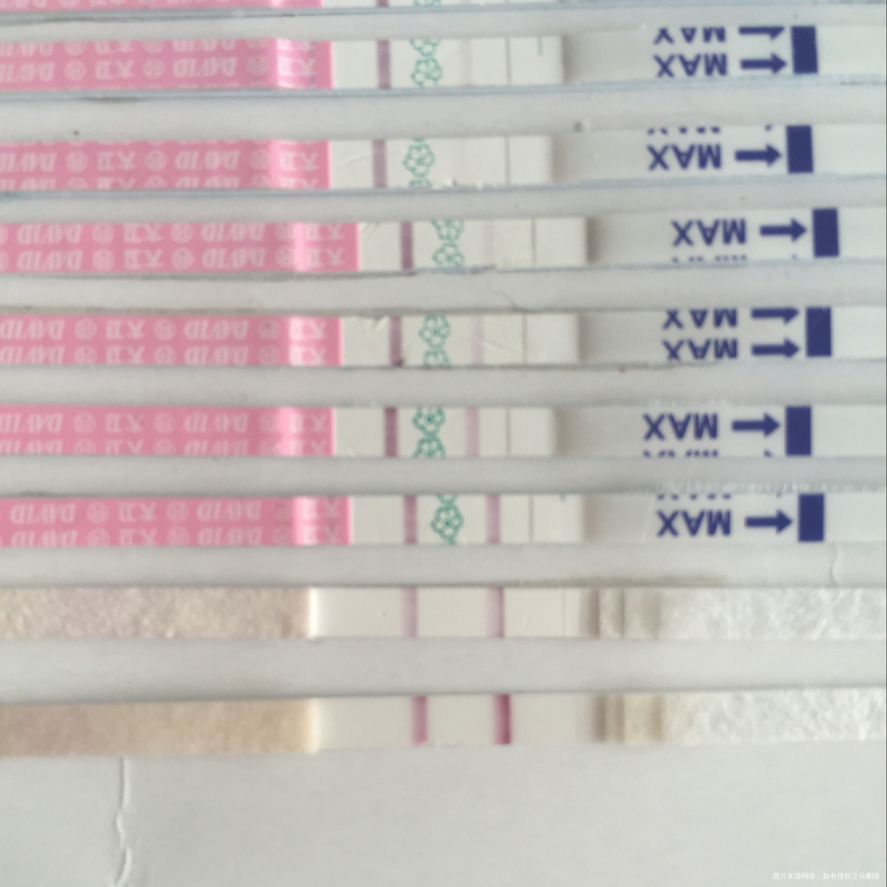 又是强阳,我都不知道该怎么办了?