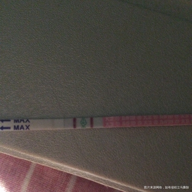 刚才拍的排卵试纸,求指导