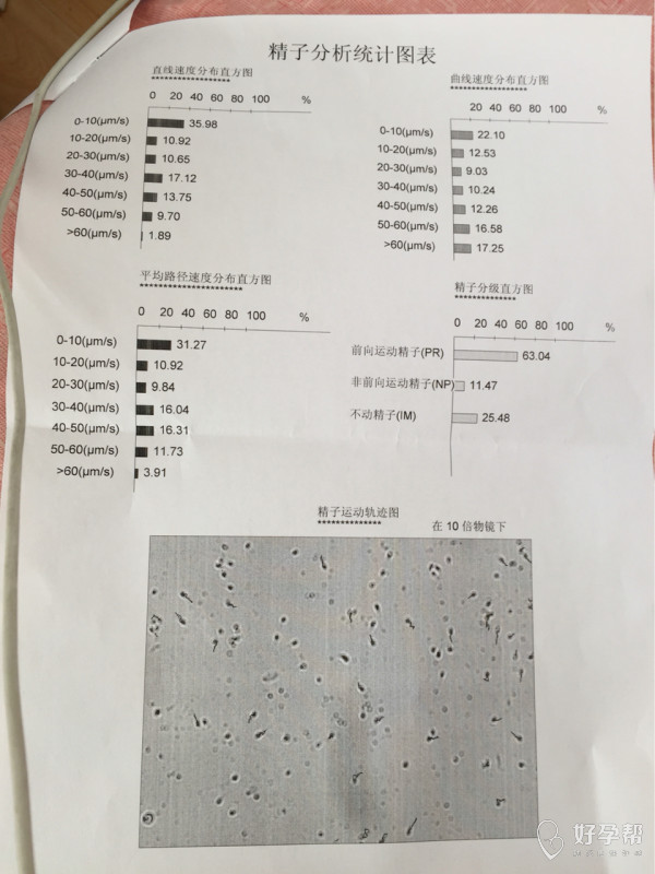 老公今天去做了精液检查,可是医生不在,没人给解读报告单,有懂的姐妹