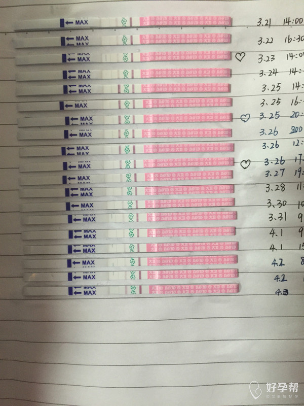 1楼 同末次,不过我排卵是22,23号,排卵试纸这几天一直都是弱阳