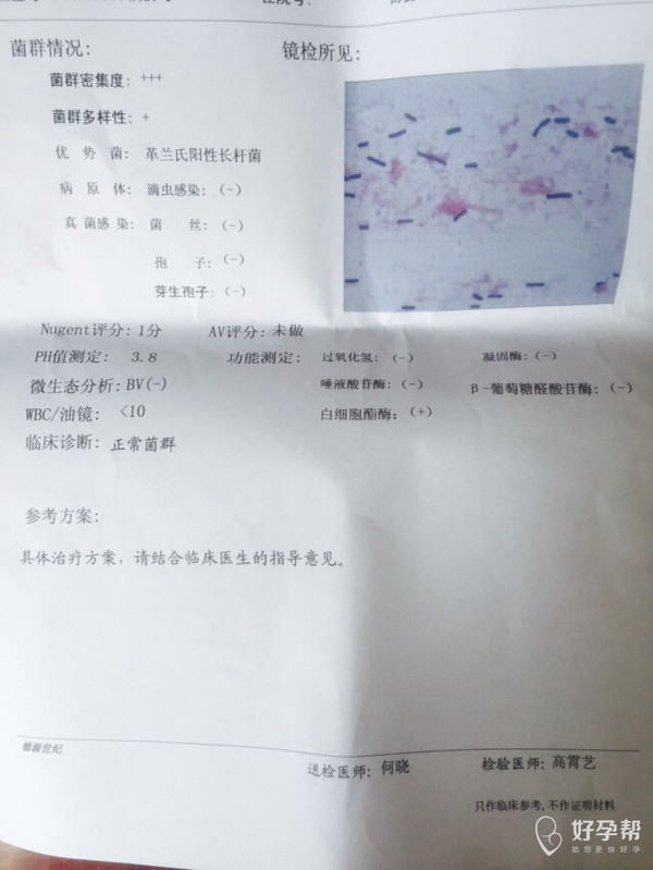这是今天做的白带常规检查,谁帮我看下有什么问题?