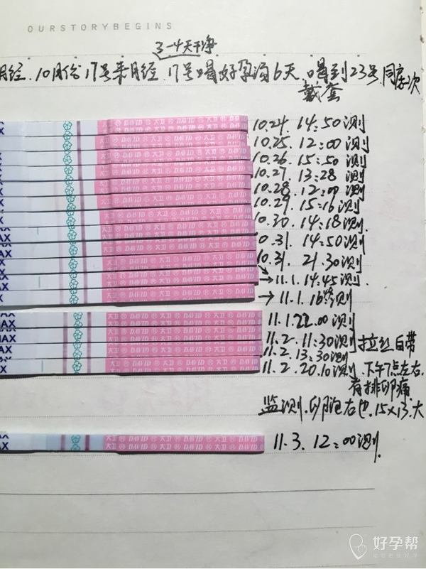 月经第十七天试纸强阳一天后转弱