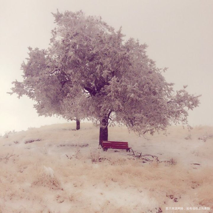 月经推迟怎么治疗好啊