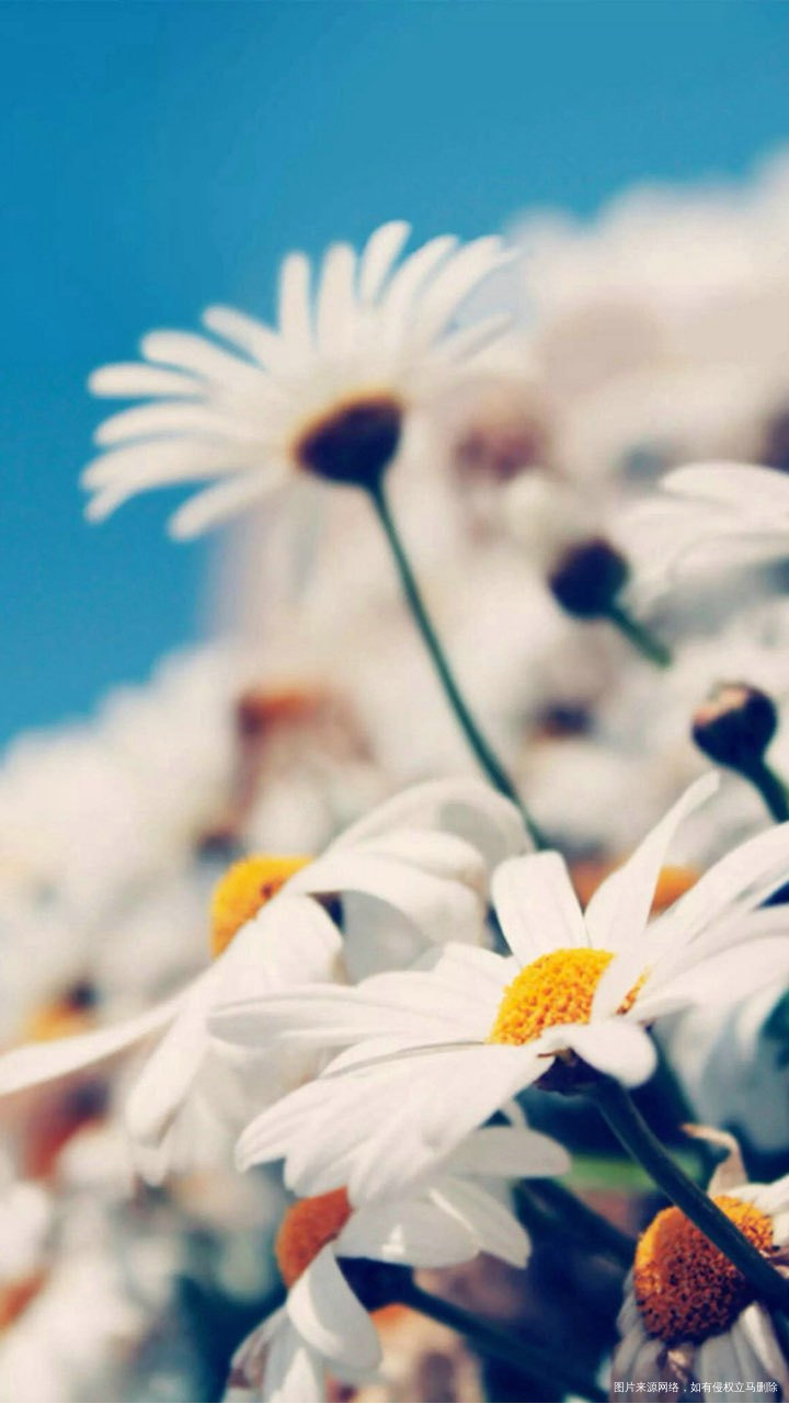 【辣妈体验】别因为当了妈就放弃自己的人生