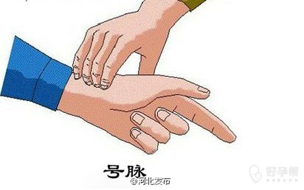 我怀孕三个多月的时候,妹妹告诉我有个老中医把脉准的很,通过脉相可以