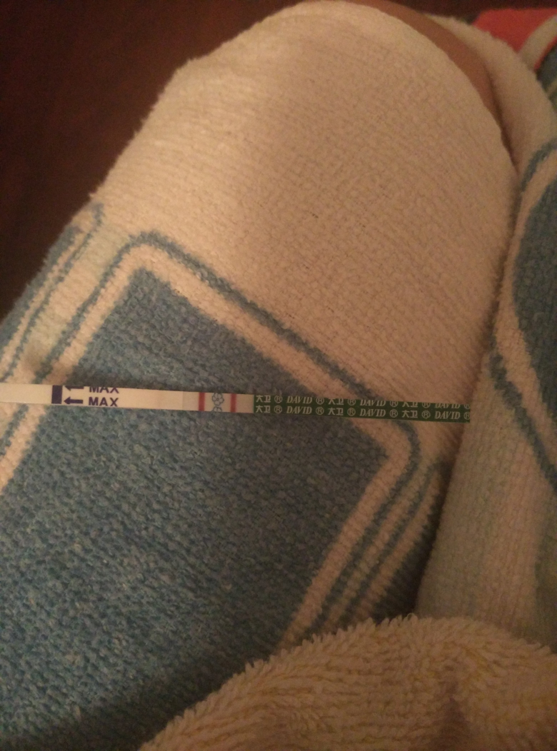 【科学备孕】我的备孕经验