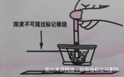 【排卵试纸】你的排卵试纸用对了吗