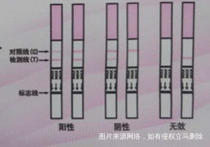 【排卵试纸】你的排卵试纸用对了吗
