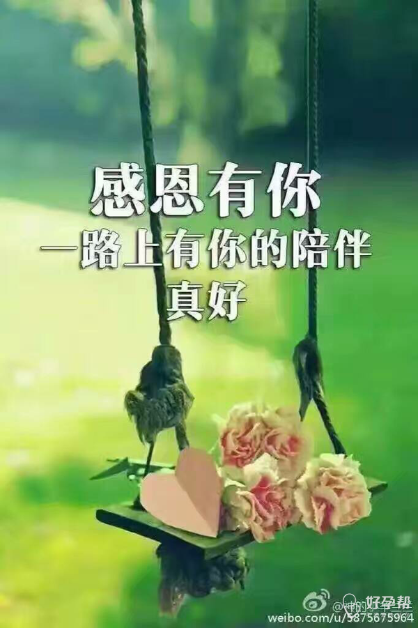 感恩有你,一路相随