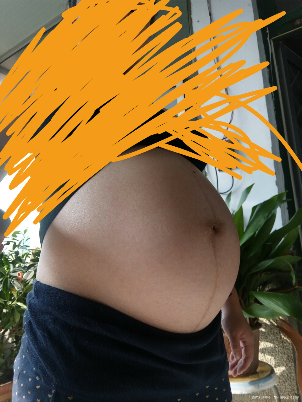 【我的孕期食谱】一位猴妈妈的营养餐