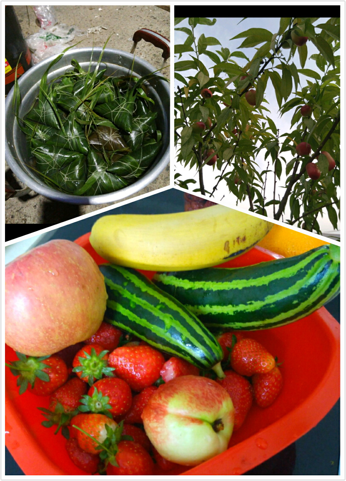 【孕期记录】我可爱的小公主!