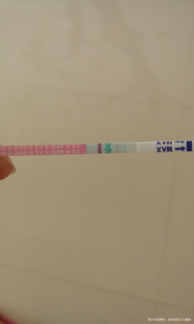 亲们,帮我看看是不是还没排呢?