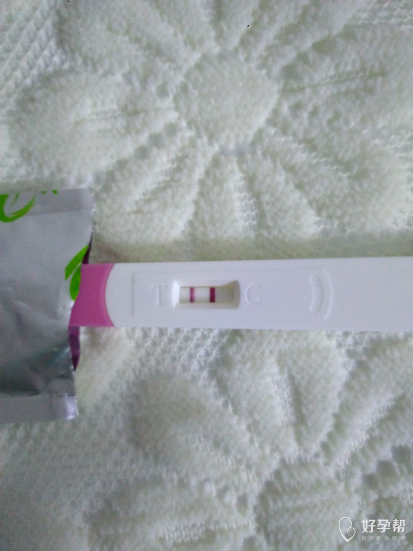 快帮我看看是不是怀孕呢?不敢相信了