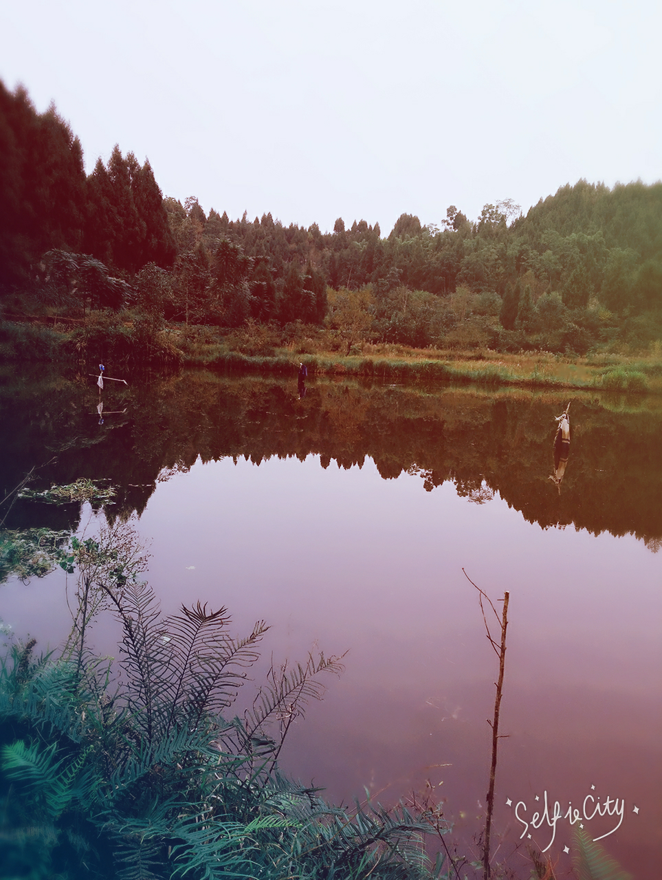 【我的辣妈经验】你是上天赐我最好的礼物!
