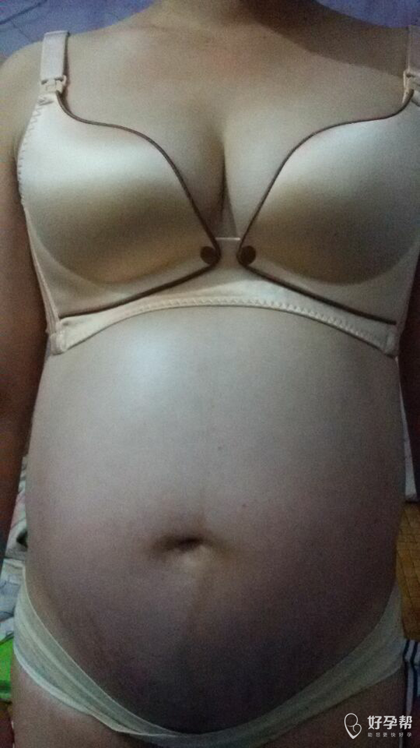 八个月的大肚子～快来猜男女?-宝妈交流-好孕妈妈论坛-好孕帮