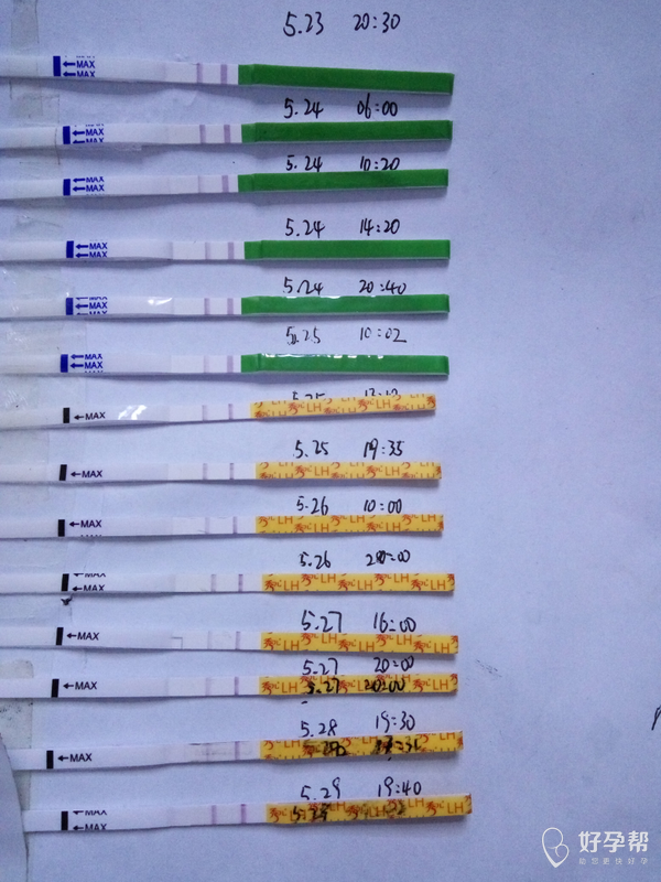排卵试纸强阳转弱后又阳了,怎么回事