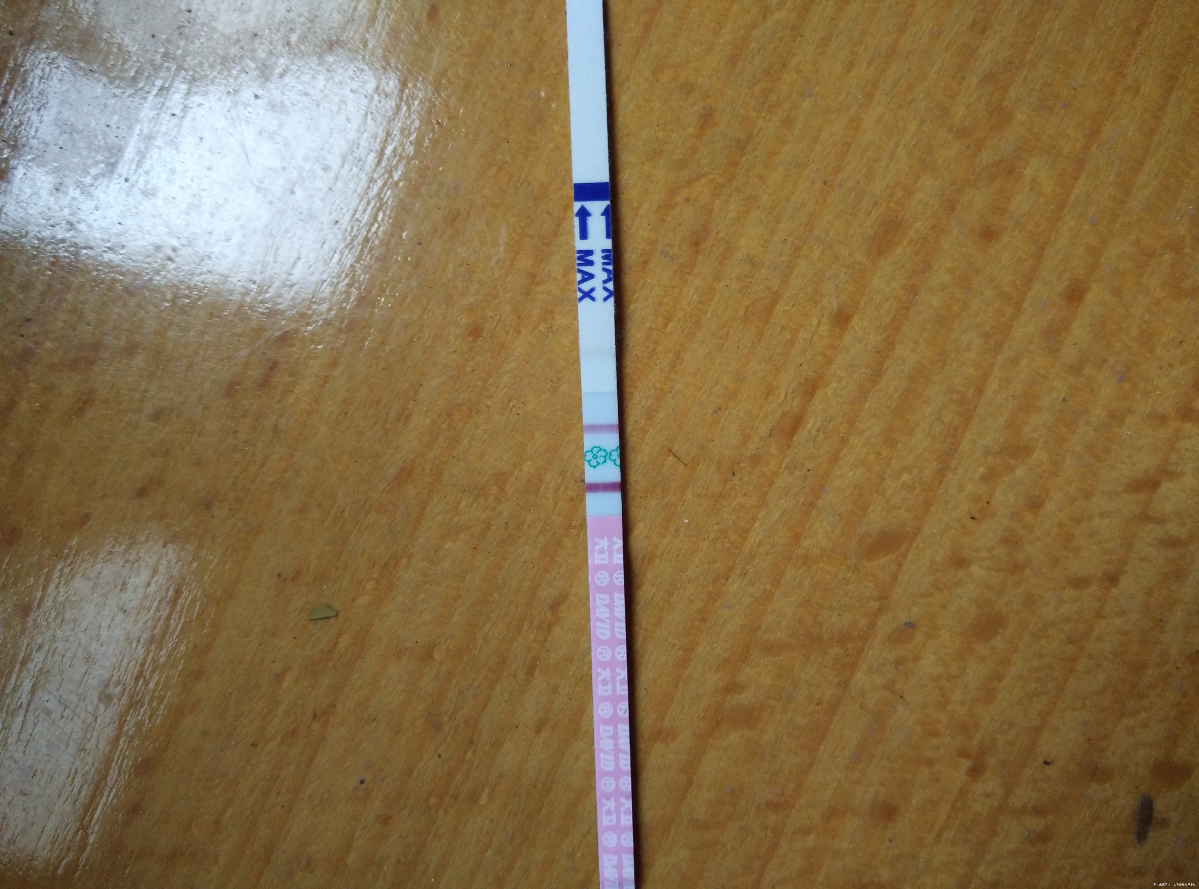 这是强阳不?