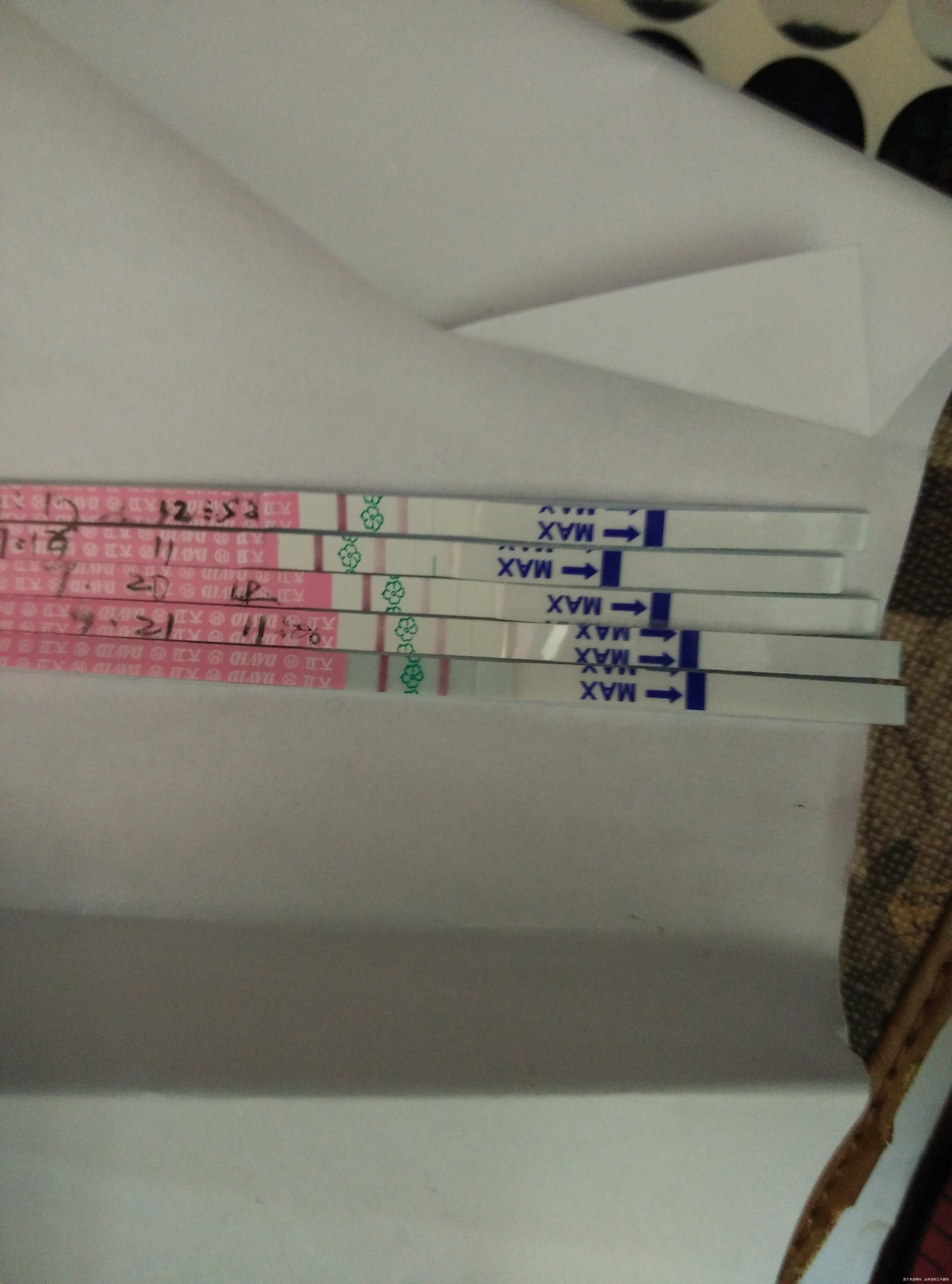 求助~~这是阳不~~~