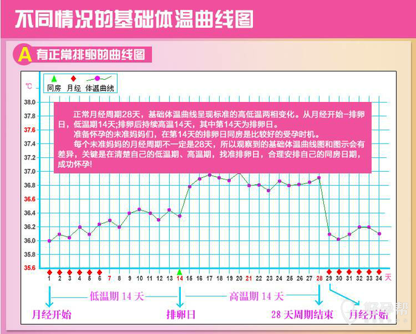 这样看来测体温还是很准的,升高就排卵,降低就来例假.