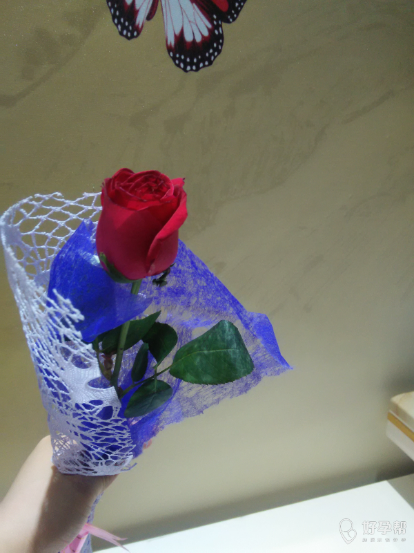 今天七夕情人节的礼物一枝玫瑰花比没有好啊