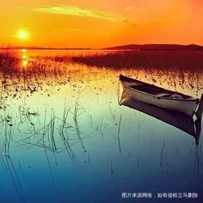 【备孕解压】缘来不拒,缘走不留