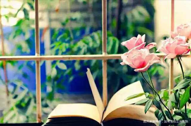 【备孕解压】缘来不拒,缘走不留