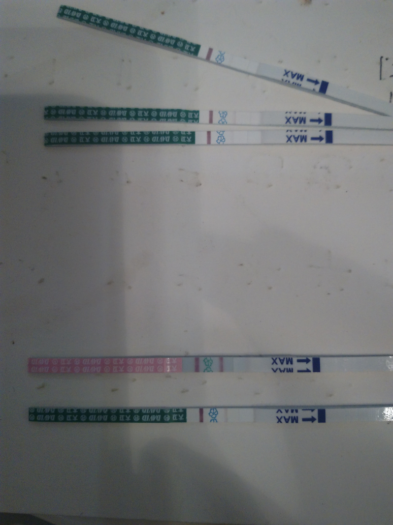 刚好是姨妈日 前两天起排卵试纸就阳性了,早孕试纸浅粉, 还以为怀孕了