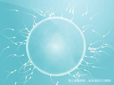 【备孕感悟】清晨小记