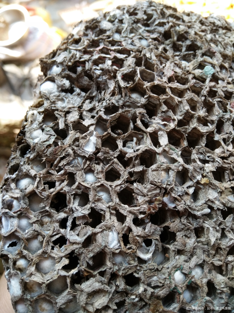 【我的十一假期】和大家一起分享