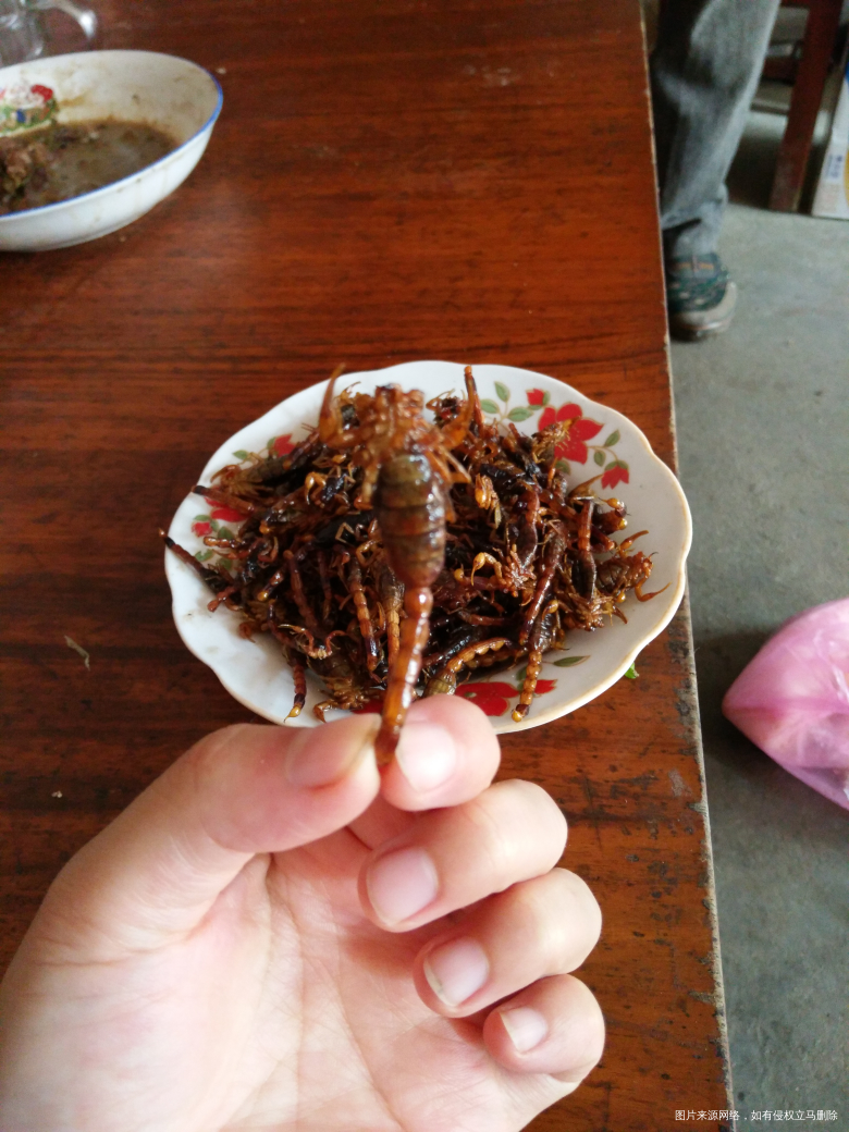 【我的十一假期】和大家一起分享