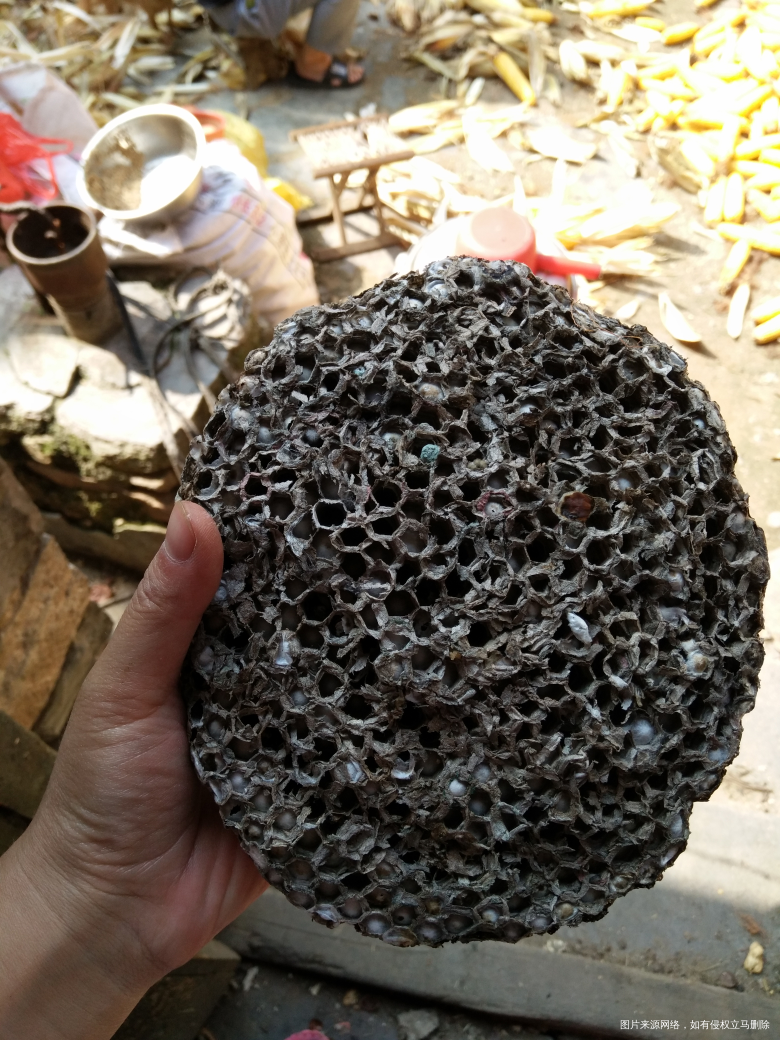 【我的十一假期】和大家一起分享