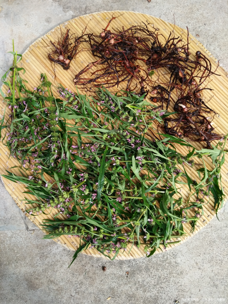 【我的十一假期】和大家一起分享