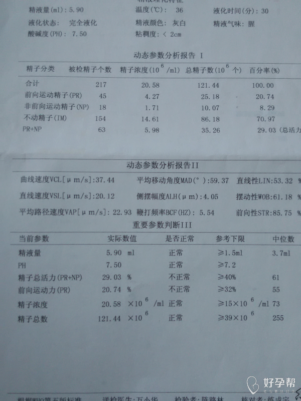 这是我今天的精子报告单