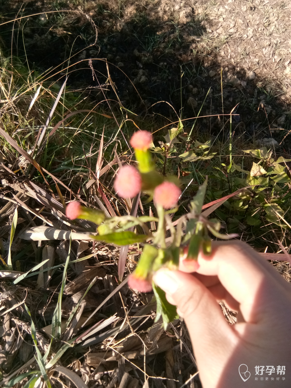 来深山老林隐居吧,还有野花野草为伴