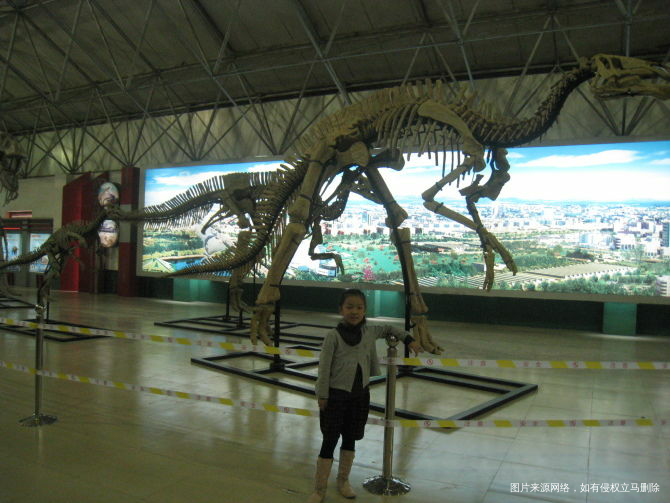 【我的十一假期】2600里路云和月(山东半岛游记)