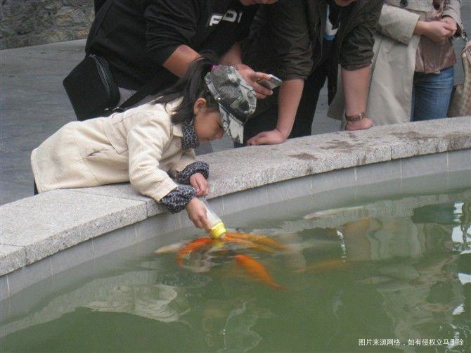 【我的十一假期】2600里路云和月(山东半岛游记)