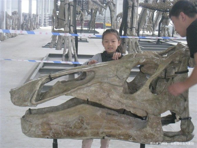 【我的十一假期】2600里路云和月(山东半岛游记)