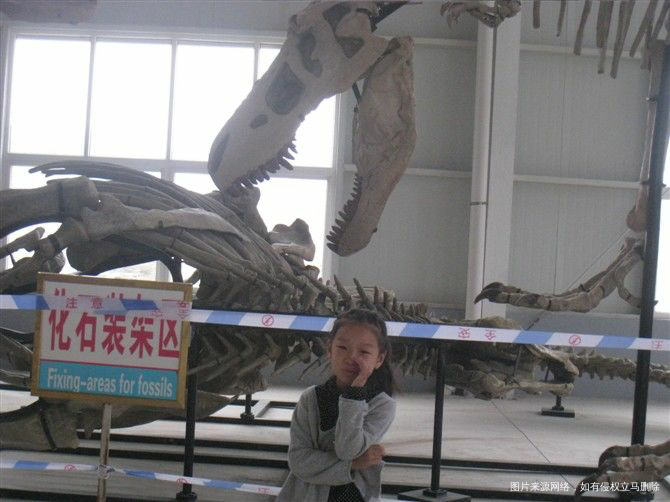 【我的十一假期】2600里路云和月(山东半岛游记)